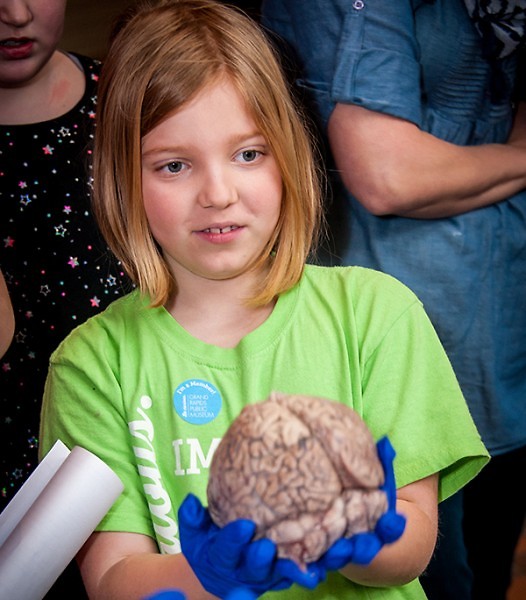 At the Brain Awareness Week Neuroscience Fair, children can see, feel and examine a real human brain