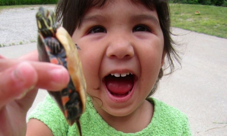 My daughter Maddie is fearless around frogs and turtles. I want her to also be fearless in the work world.