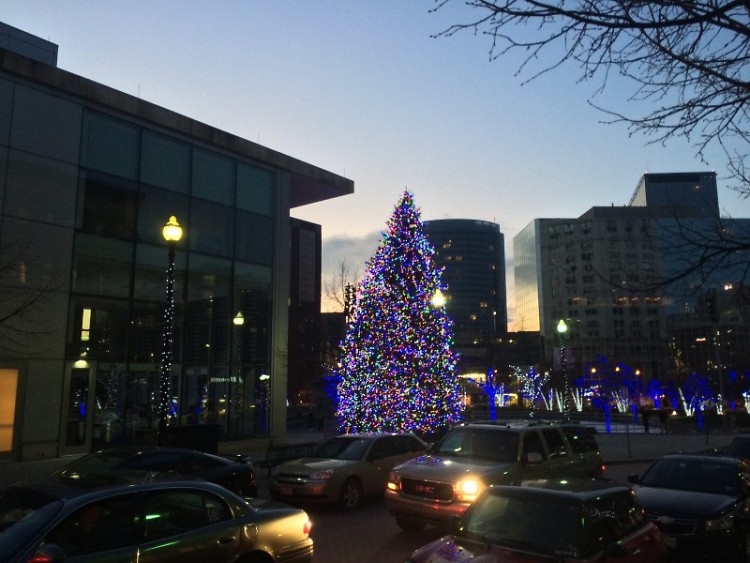 Christmas Tree at dusk in Rosa Parks Circle