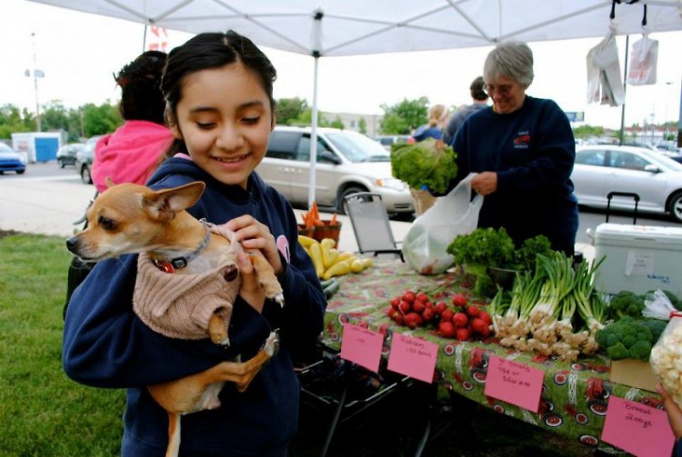 The YMCA Farmers Market provides fun for the whole family.