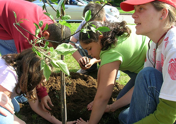 Planting apple trees was one of many fun activities during TEAM 21 summer programming 