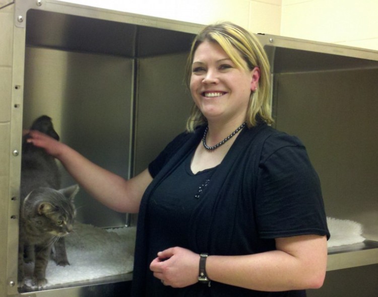 Carly Luttmann, program supervisor at the Kent County Animal Shelter, with Figero, one of the cats available for adoption.