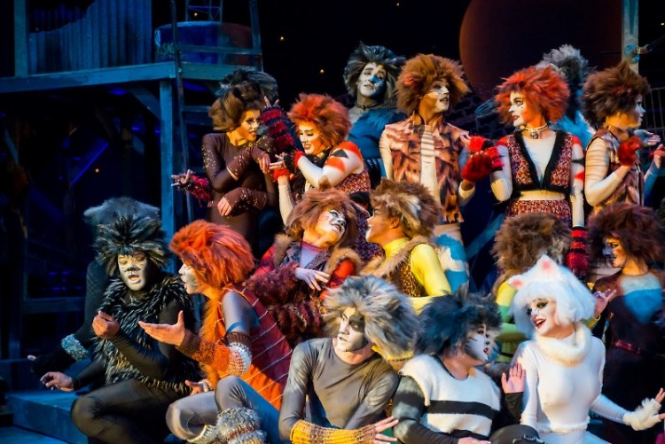 The Ensemble, a motley crew, taught how to talk to cats.
