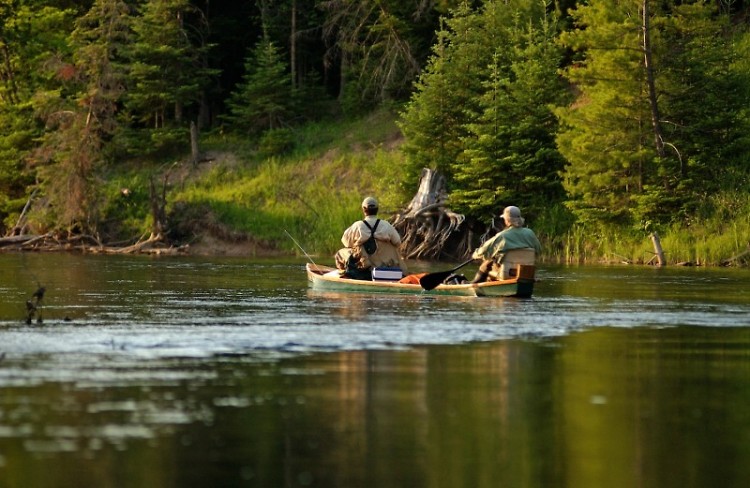 Northern Michigan’s Au Sable River is the birthplace of Trout Unlimited.
