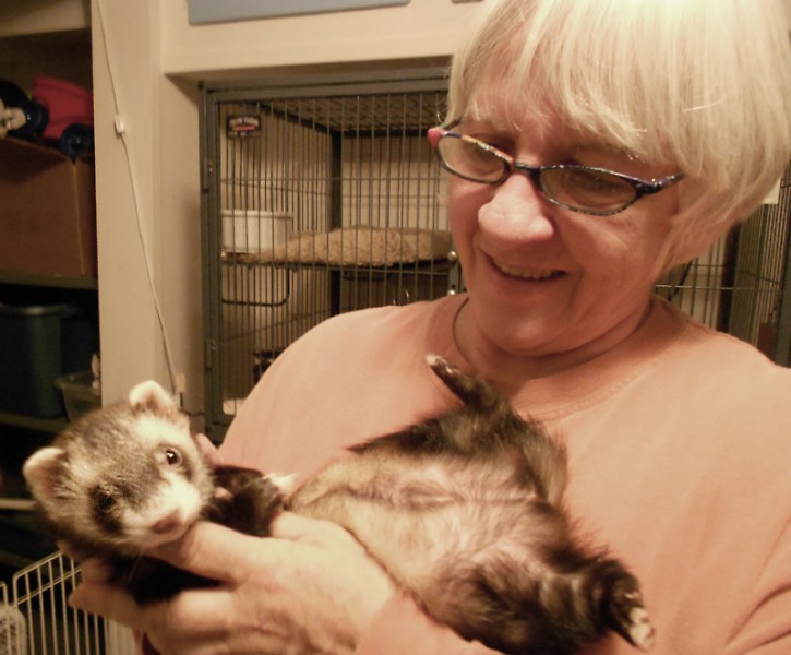 Midwest Ferret Connection shelter founder Dee Gage with Tic Tac Toe, an abandoned ferret found in a basement in Pewamo, Michigan