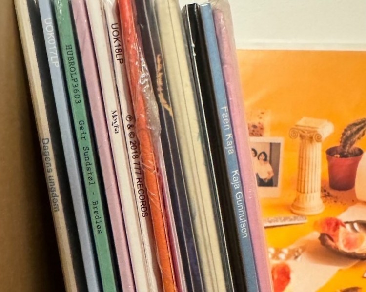 An array of records leaning against each other in display.