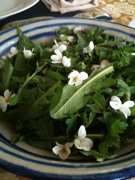 Re-wilded Spring Salad: Dandelion, Violet leaf, Wild Chives, White Violet flowers & Parsley