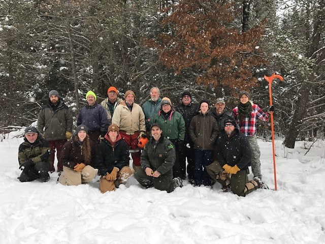 MUCC “On the Ground” volunteers felled about 250 trees to improve habitat for the snowshow hare in Grayling State Forest.