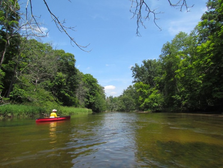 There are numerous canoe and kayak liveries along the Pere Marquette River in northern Michigan. 