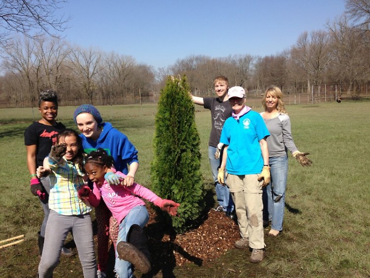 Community members worked together to plant trees.