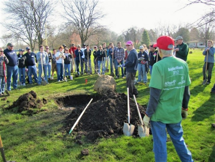 Planting demonstration by Friends of Grand Rapids Parks