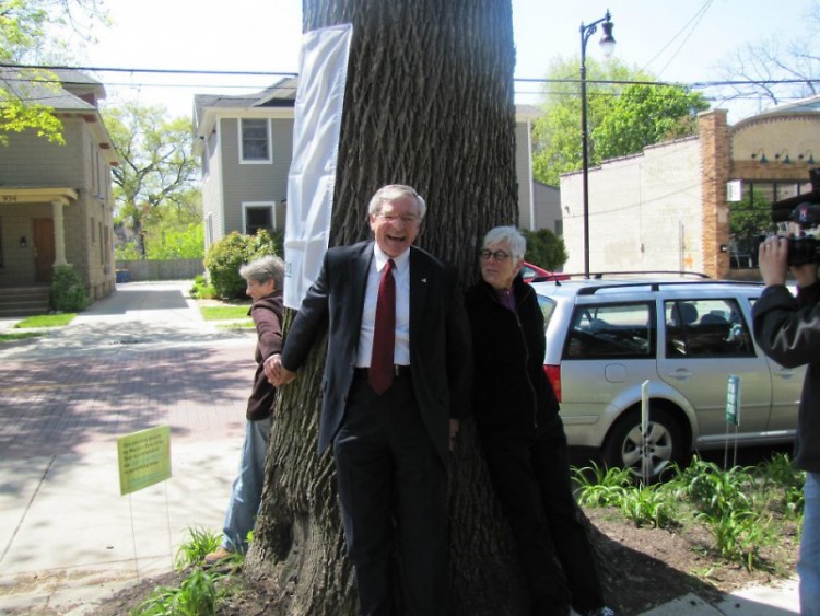 Mayor George Heartwell, Dotti Clune and Carol Moore hug the 2012 Mayor's Tree of the Year