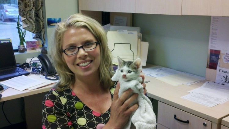 New Executive Director Trudy Ender with Gravy Train, a kitten with respiratory problems she's fostering.