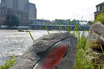 A salmon carved into a rock overlooking the Grand River and the Blue Bridge.