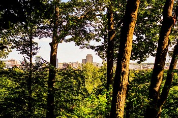 The skyline of downtown Grand Rapids as seen from in between the trees