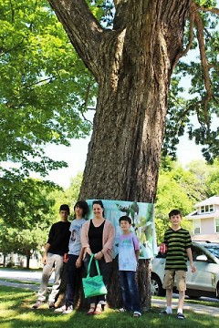 Angela Schmidt and her sons stand in front of the 2016 Mayor’s Tree of the Year in Lincoln Park.