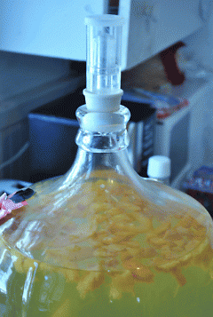 An airlock is placed on the jar to keep the air out and allow the CO2 to escape as the mixture is converted into alcohol.