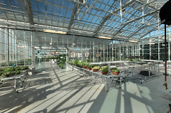 Second story greenhouse
