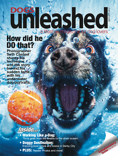 Mary Ullmer is editor of the new local publication Dogs Unleashed