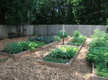 Community raised bed gardens 