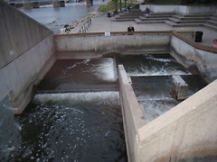 The Fish Ladder sculpture is a series of stepped pools that allow spawning fish to circumvent Sixth Street Dam.