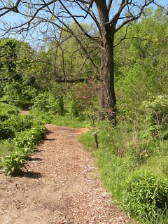 Meditation Garden Path