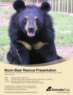 Asiatic black bears are known as "moon" bears because of the yellow crescent shape on their chest.