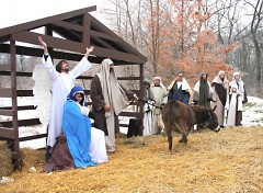 Living nativity at the Dominican Center of Marywood