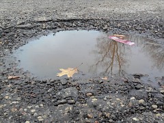 Captures of potholes on their own like this great reflection caught in "Pool of Asphalt" by Annmarie Steffes are also encouraged