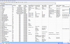 Josh's spreadsheet tracking food details.
