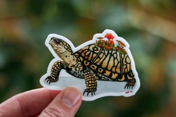 Turtle sticker by Birds of the Air, vendor at Blandford Nature Center's upcoming Nature Makers Market.