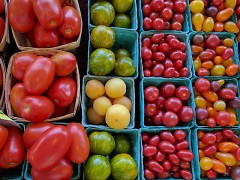 Michigan Tomatoes
