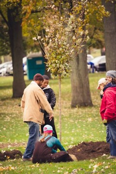 Citizen Foresters planting trees in Grand Rapids