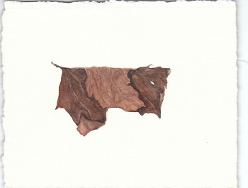 "Leaf" by Steffanie Rosalez