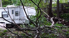 The tree branch that barely missed Kurt's camper.
